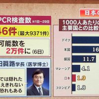 PCR検査-諸外国との比較