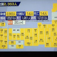 全国新感染者数　2363人